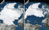 arctic-sea-ice-comparison.jpg